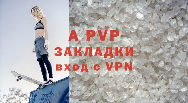 индика Белокуриха
