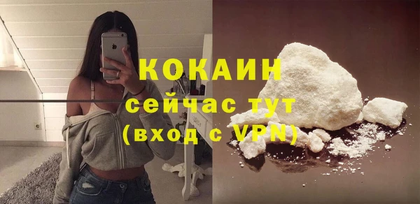 apvp Богородск