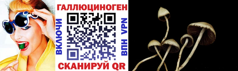 Галлюциногенные грибы Psilocybe где можно купить наркотик Волжский